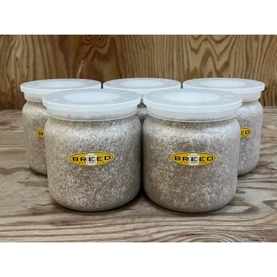 菌糸瓶のおすすめ人気商品一覧 通販 - Yahoo!ショッピング 菌糸