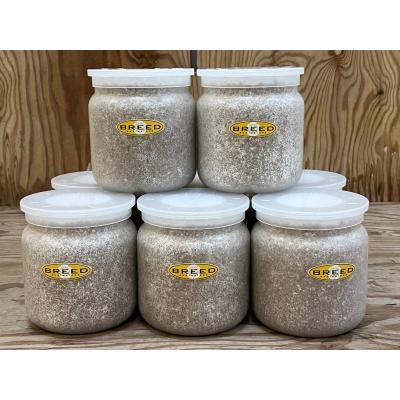 菌糸瓶のおすすめ人気ランキングTOP100 - Yahoo!ショッピング