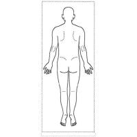 シャチハタ 医療用人体図 「全身（男性背面）」 20x60mm 角型印2060号 ゴム印 | はんこ奉行