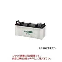 【直送品】 GSユアサ バッテリー EB グランドスター 小型電動車用鉛蓄電池 EB120-LER | 部品屋さんYahoo!店