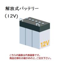 【直送品】 GSユアサ バッテリー バイク用 開放式バッテリー (12V) YB16AL-A2 (YB16AL-A2-GY) | 部品屋さんYahoo!店