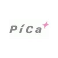 【直送品】 PiCa (ピカ) 伸縮はしごPTH用キャリーバッグ PTH-CB 《PTH型用オプション》 | 部品屋さんYahoo!店