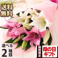 押し花　ユリのブーケ ユリ,豪華,ブーケ 商品詳細｜フルールシェリー｜茨城県土浦市の花屋