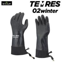TEMRES 02 WINTER BLACK / 防寒グローブ テムレス 02ウィンター | Busselwebshop