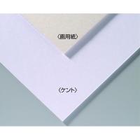 【10個セット】 ARTEC A&amp;Bオリジナルアートボード B3画用紙 ATC143301X10 | BuzzHobby