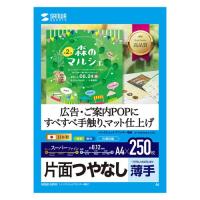 サンワサプライ　インクジェット用スーパーファイン用紙A4サイズ250枚入り　JP-EM5NA4-250 | BuzzHobby