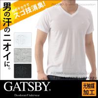 ギャッツビー GATSBY スゴ技消臭 VネックTシャツ　光触媒加工ガイアクリーン/インナー /メンズ/ビジネス :R0301B:B.V.D.e-shop メーカー直営店 - 通販 - Yahoo!ショッピング