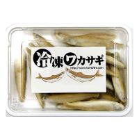 ワカサギ（バラ冷凍）100g×15個セット【クール便発送】冷凍餌 大型魚 肉食魚 アロアナ ピラニア | You Chu Shop