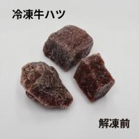 冷凍牛ハツ 500g×12個セット 業務用【クール便発送】ペット用 冷凍餌 えさ 心臓 生肉 角切り 大型魚 肉食魚 アロアナ ピラニア 爬虫類 | You Chu Shop