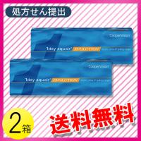 ワンデー アクエア エボリューション 30枚入×2箱 / 送料無料 | コンタクトレンズのレンズワン