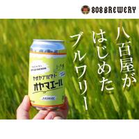 オヤマエール クラフトビール 808(ヤオヤ)ブルワリー 発泡酒 | リカーパークシーザー