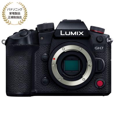lumix g100d（付属レンズ：本体のみ）のおすすめ人気商品一覧 通販