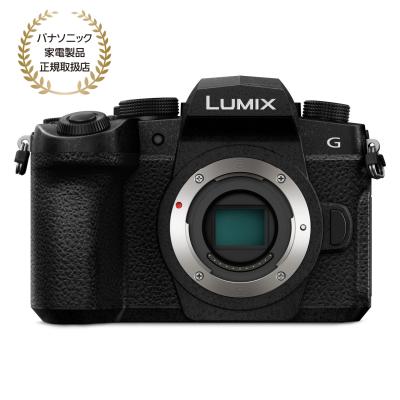 lumix g100d（付属レンズ：本体のみ）のおすすめ人気商品一覧 通販