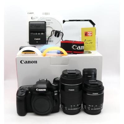 canon一眼レフ（液晶モニタータイプ：バリアングル液晶）のおすすめ