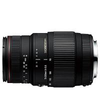 シグマ SIGMA APO 70-300mm F4-5.6 DG MACRO キヤノン用 望遠ズームレンズ フルサイズ対応 一眼レフ カメラ 中古 | CAMERArt 2nd-Shop