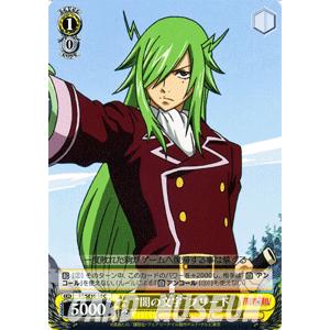カードミュージアム Yahoo!店 - FAIRY TAIL｜Yahoo!ショッピング
