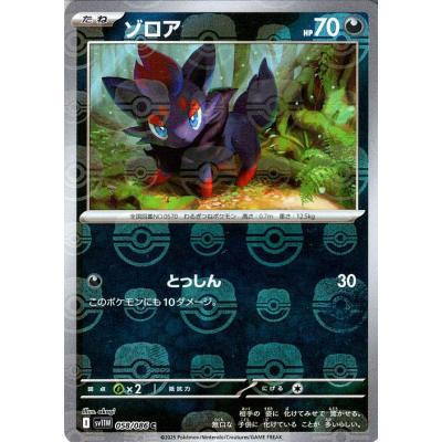 ポケカ　ゾロア　セット ゾロア 185/150 S｜ポケカシングルカード通販｜Cloveストア