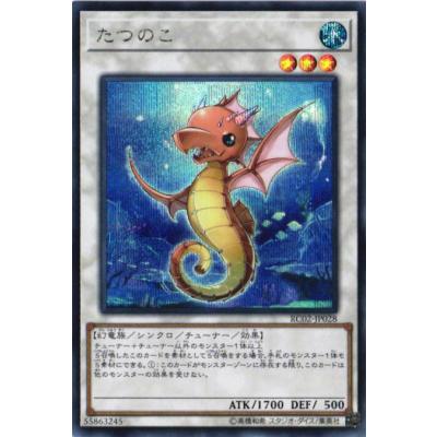 遊戯王 20th シークレット パックのおすすめ人気商品一覧 通販 - Yahoo
