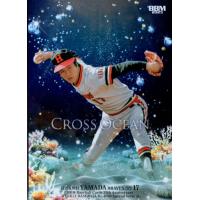 bbmカード35周年&週刊ベースボール4000号記念スペシャルバージョンの