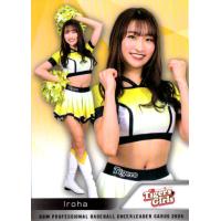 iroha（ゲーム、おもちゃ）のおすすめ人気商品一覧 通販 - Yahoo