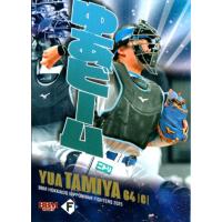 ファイターズ かわいいトレカ2025(田宮裕涼)2枚セット 2025 田宮裕涼 ファイターズトレカ フィギュア購入景品 - メルカリ