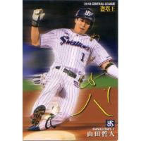 プロ野球チップスカード山田哲人の商品一覧 通販 - Yahoo!ショッピング