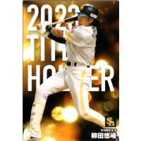 プロ野球チップス カード柳田悠岐の商品一覧 通販 - Yahoo!ショッピング
