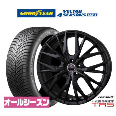 ロクサーニ 自動車 夏タイヤホイールセット（タイヤ扁平率：45