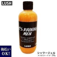 自然派石鹸 ラッシュ みつばちマーチ シャワージェル SP 250g ボディシャンプー LUSH 