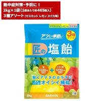 セール価格 サラヤ SARAYA 匠の塩飴 3種アソート味 マスカット・レモン・スイカ 2kg 27861 | CCnet 快適バリューSHOP