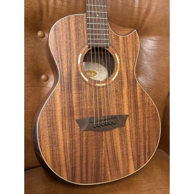 washburn アコースティックギター（アコースティックギター