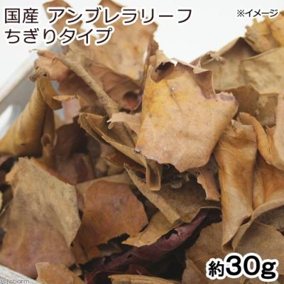 チャーム charm ヤフー店 - マジックリーフ｜Yahoo!ショッピング