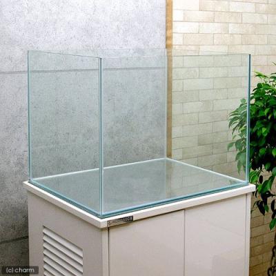 60cmワイド水槽のおすすめ人気商品一覧 通販 - Yahoo!ショッピング