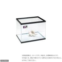 ニッソー　スタンダード６０ｃｍ水槽　ＮＳ−７Ｍ（ブラック）６０×４５×４５ｃｍ（単体）　１８０サイズ | チャーム charm ヤフー店