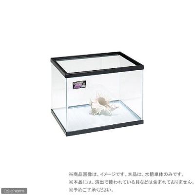 【取引中】ニッソー NEWスティングレー60cmハイタイプ曲ガラス水槽 未使用 ニッソー 水槽 60cm 曲げガラスのおすすめ人気商品一覧 通販 - Yahoo