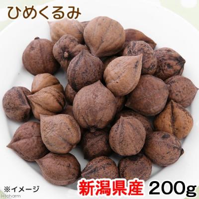 くるみ 殻付きのおすすめ人気商品一覧 通販 - Yahoo!ショッピング