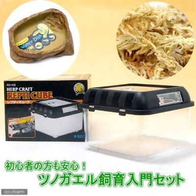 クランウェルツノガエル（飼育ケージ）｜温室、飼育ケース｜爬虫類 