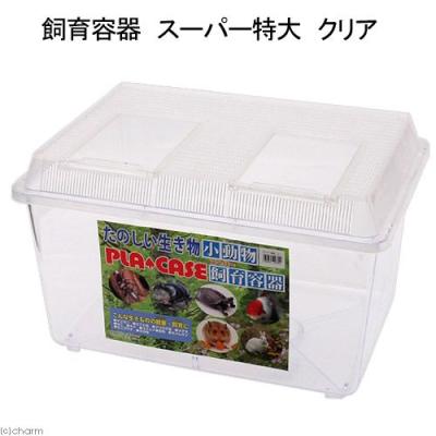 アクリル ケージ（虫かご、飼育ケース）｜昆虫用品 | ペット用品