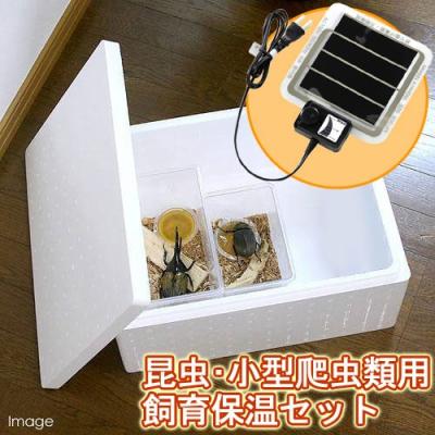 昆虫 ヒーターの商品一覧 通販 - Yahoo!ショッピング