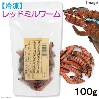 冷凍ミルワームのおすすめ人気商品一覧 通販 - Yahoo!ショッピング