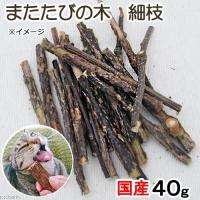 国産　またたびの木　細枝　４０ｇ　猫用おもちゃ　無添加　無着色 チャーム charm PayPayモール店 - 通販 - PayPayモール