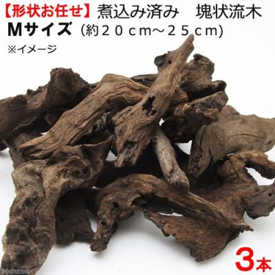 アク抜き済み 流木（水槽用流木）｜レイアウト用品｜熱帯魚