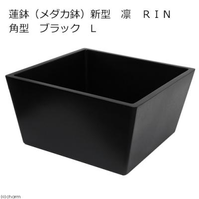 frp 睡蓮鉢のおすすめ人気商品一覧 通販 - Yahoo!ショッピング