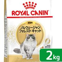 ロイヤルカナン　猫　ノルウェージャン　フォレスト　キャット　成猫用　生後１２ヵ月齢から１２歳まで　２ｋｇ　ジップ付（キャットフード　ドライ） | チャーム charm ヤフー店