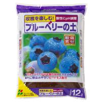 アップルウェアー 果樹鉢 245型 :4905980310261:マツモトキヨシ ... アップルウェアー 果樹鉢 245型 :4905980310261:マツモトキヨシ ...
