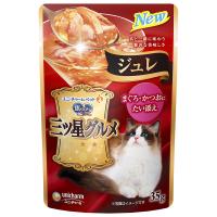 銀のスプーン　三ツ星グルメ　パウチ　ジュレ　まぐろ・かつおにたい添え　３５ｇ×１６　猫　ウェットフード　キャットフード | チャーム charm ヤフー店