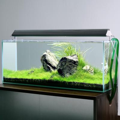 水草 f-6 Amazon | 水槽 金魚 水槽 メダカ 水槽 金魚鉢 金魚 亀 水槽 小型