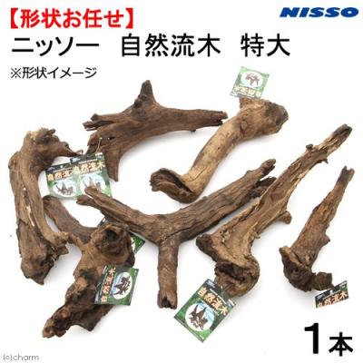 流木（水槽用流木）｜レイアウト用品｜熱帯魚、アクアリウム用品