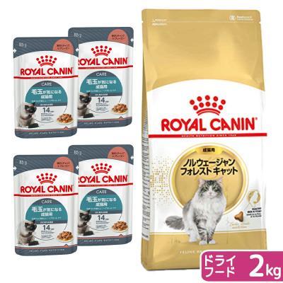 ロイヤルカナン ヘアボールケア 4kgのおすすめ人気商品一覧 通販