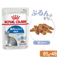 ロイヤルカナン　猫　ＦＨＮ−ＷＥＴ　室内で生活する成猫用　インドア　ゼリー　８５ｇ×４８袋　室内猫　ウェット　お一人様１点限り | チャーム charm ヤフー店